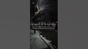 سورة الأنعام (Surah Al-An'am) 162-163 | استمع بقلبك وتدبر! آية تهز القلوب ❤️