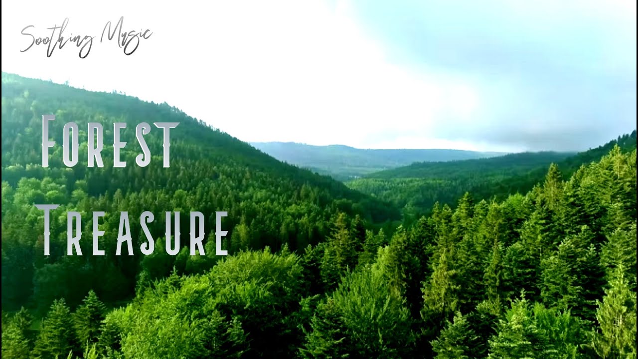 Forest Treasure Landscape ♪ Soothing Music auf YouTube ansehen Forest Treasure Landscape ♪ Soothing Music auf YouTube ansehen