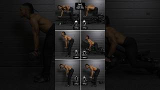 Back Day Is In Session Dumbbells Bench