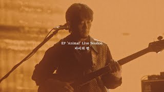 Video thumbnail of "쏜애플(THORNAPPLE) -'파리의 왕' (EP 'Animal' Live Session)"