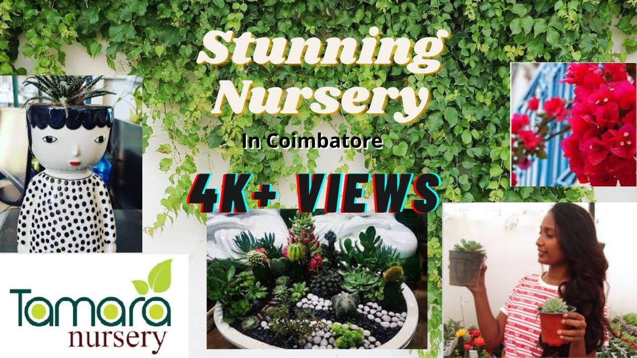 PLANT NURSERY TOUR in TAMIL COIMBATOREPLANTING POTSINDOOR, OUTDOOR Plants YouTube