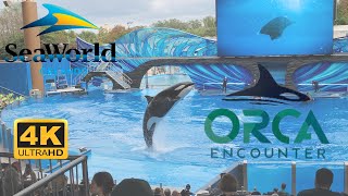 Orca Encounter Killer Whale Full Show Educational Presentation SeaWorld Orlando 2023 4K