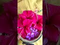 #shorts Happy Friday!