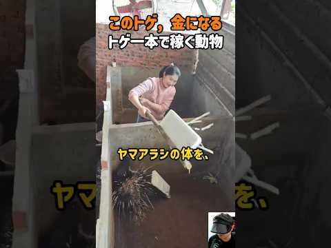 知っトク3D