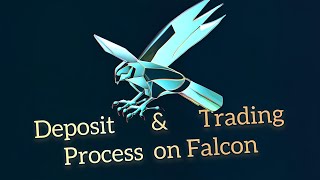 Deposit & Trading Process on Falcon Quantitative Trading Platform