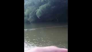 Movie 00 MOV 0371 1