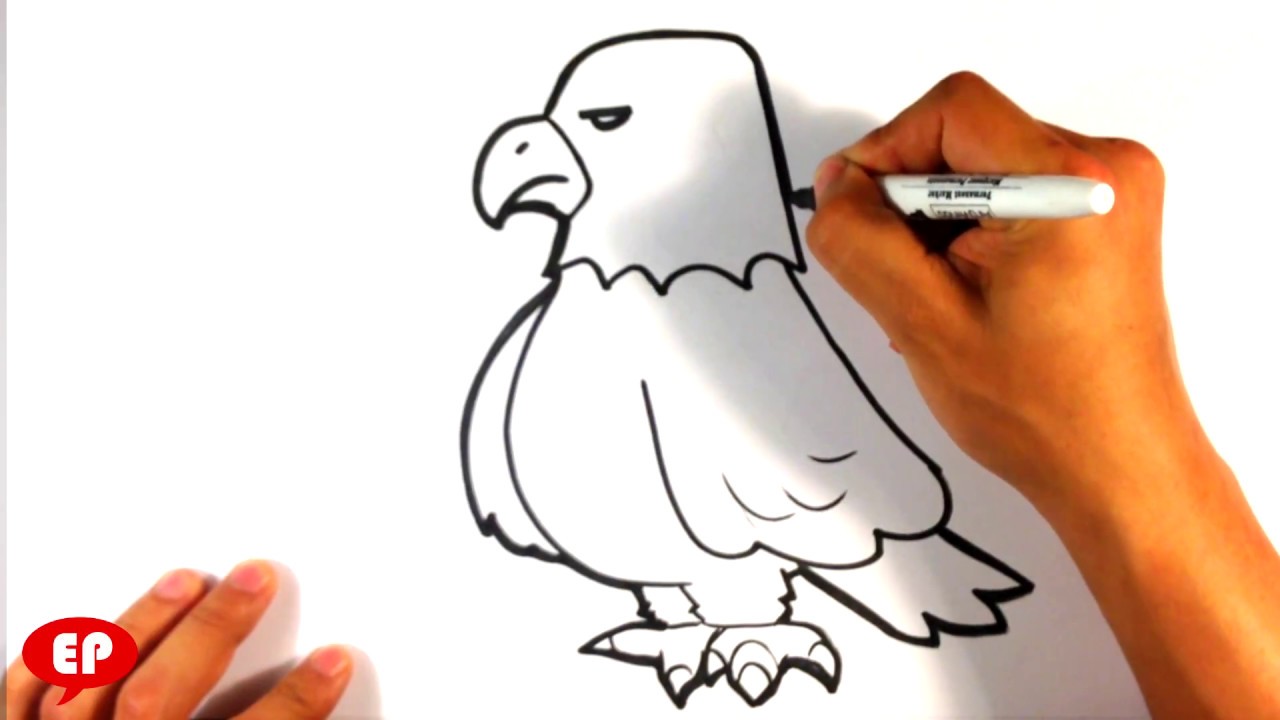  How to Draw  an Eagle Cute Easy  Pictures  to Draw  YouTube