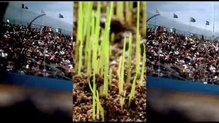 NASCAR goes GREEN