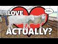 EWE'RE IN LOVE!!!❤️ | Big Mama's got a BOYFRIEND!!!🥰| Vlog 472