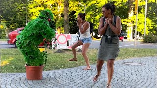 Bushman Prank in Germany 🇩🇪 Schrecklicher Schrecken auf der Straße🇩🇪👻👻🤣😂