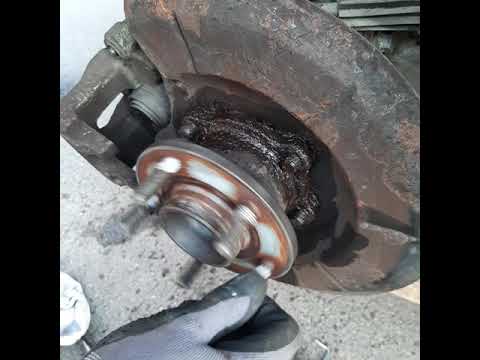 Ford Focus Rear wheel bearing