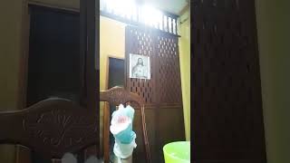 Big Mean Carl Rooster Itsmejoyce