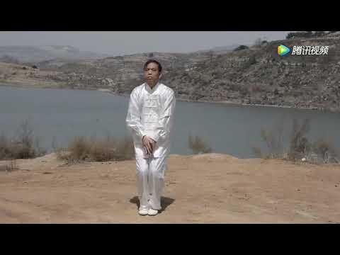戴氏心意拳功理秘技P9 戴氏心意拳·三拳- YouTube