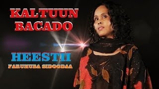 HEESTII FARUHUBA SIDOODA BY KALTUUN BACADO (OFFICIAL VIDEO)