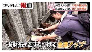 なぜそこに!?外国人絶賛 “穴場の観光地”【しらべてみたら】