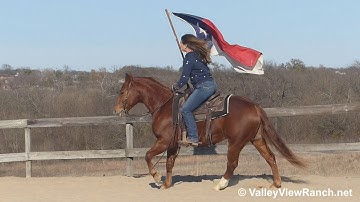 Aristo Bama - carrying the flag and working the mechanical cow! - ValleyViewRanch.net