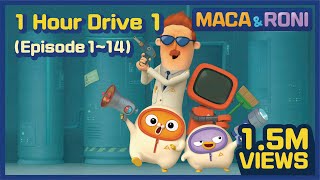 [MACA&RONI] 1Hour Drive 1 (Episode 1-14) | Macaandroni Channel by MACA & RONI - Funny Cartoon 7,030,216 views 1 year ago 1 hour