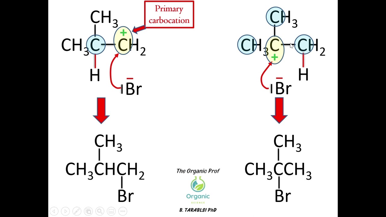 Réaction d'addition électrophile sur les alcènes (règle de Markovnikov) animée Version Française