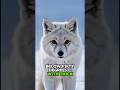 Top 5 Animals That Can Survive Extreme Conditions #NatureShorts #AnimalFacts #WildlifeShorts #shorts