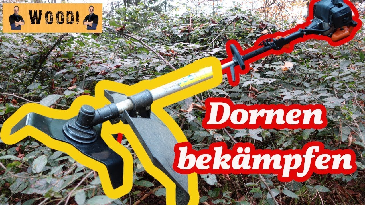 Dornen entfernen und bekämpfen Wildwuchs mit Mulchmesser für