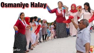 Osmaniyeliler Buraya Hasan Ve Rukiyenin Düğünü (Çeli̇k Ai̇lesi̇) Grup Erdoğanlar Production ®