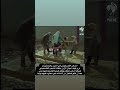 شكرا للشعب الاردني الذي انقذ الشعب الفلسطيني هذه يوضح انه الاردن عظيمه و قادره على فعل المستحيل
