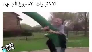 تكوتاااا اه زغب وفله