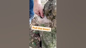 💫 Could you find this spin-tastic cache?🔎 #geocaching #geocache #shorts