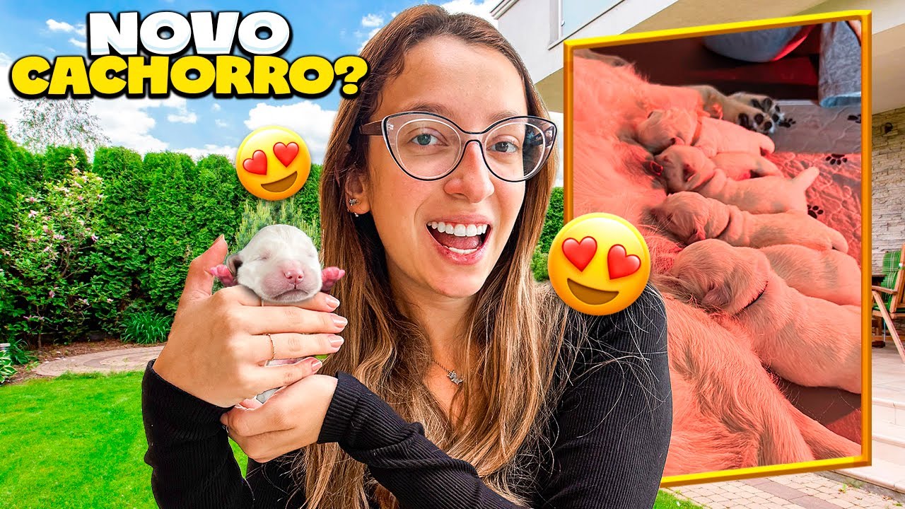 VAMOS GANHAR UM CACHORRINHO NOVO ??