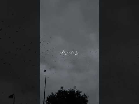 بيج سام بحاول فيها بنزل النجوم من السما واحطها تحت عيونك