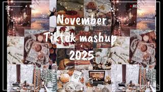Tiktok Mashup 2025 November