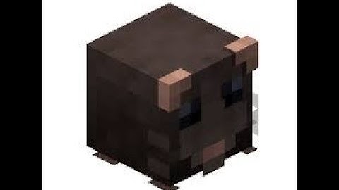 DETAILED RATTING GUIDE | FULL ACCESS TO INFINITE ACCOUNTS | HYPIXEL SKYBLOCK