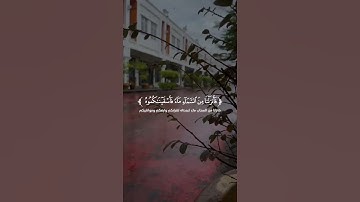 { فَأَنزَلْنَا مِنَ السَّمَاءِ مَاءً فَأَسْقَيْنَاكُمُوهُ } [الحجر : 22]القارئ هزاع البلوشي