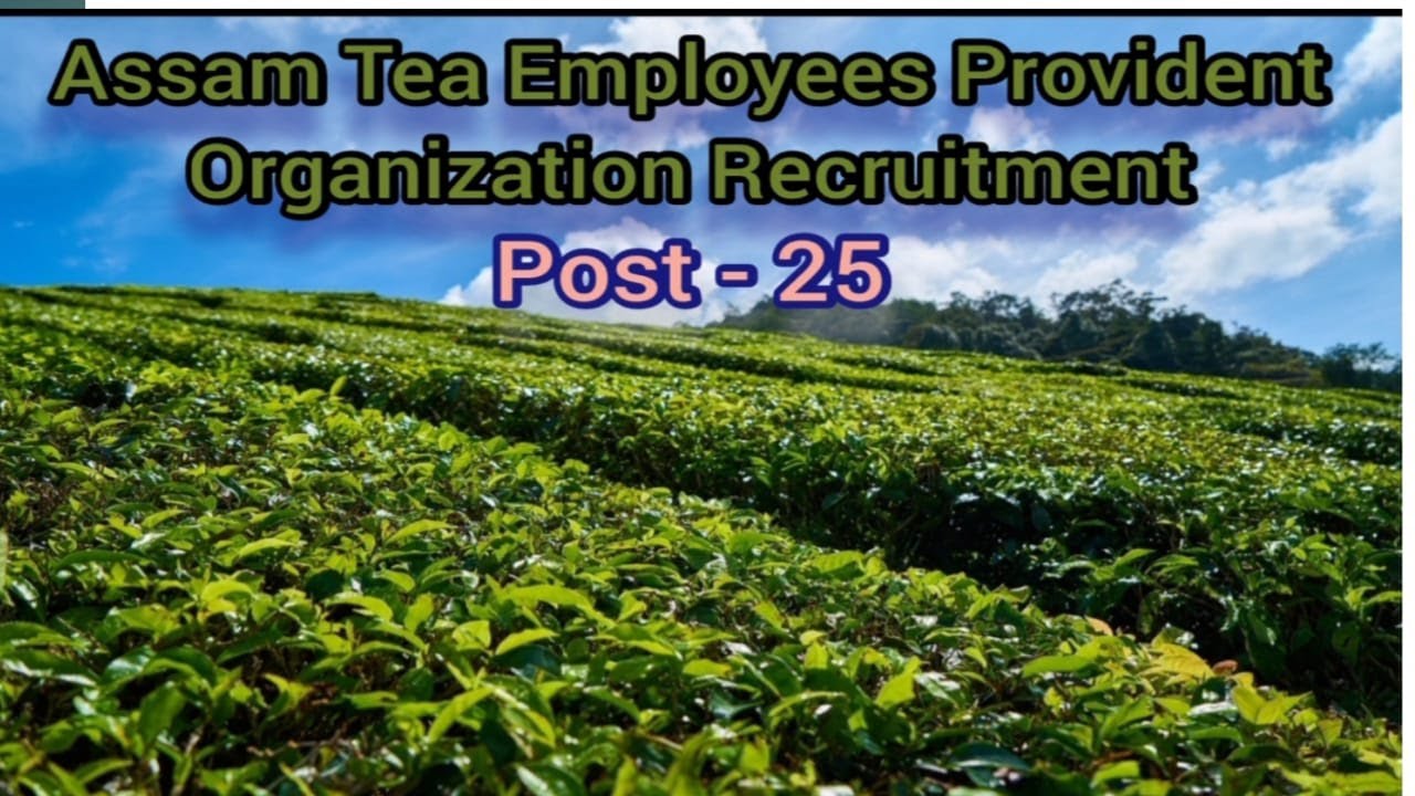 Assam Tea Employees Provident Fund Organization Recruitment for 25 junior assistant (ATEPFO), 2021
