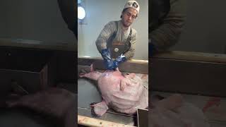 Monkfish Had A Big Dinner By Eating Two Other Fish