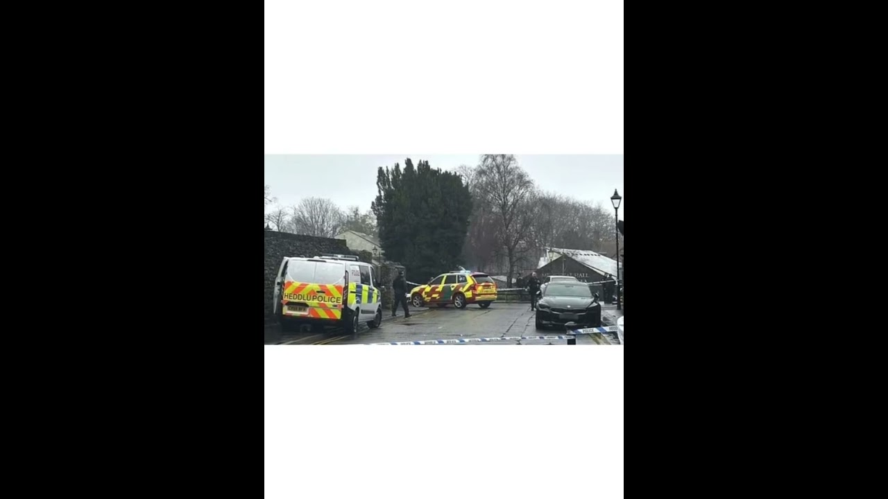 Murder probe launched after man, 23, is found dead in Cardiff on Christmas Eve: Suspect is arrested
