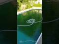 Vacuum To Waste With An Inground Pump To Clean a Green Pool Fast