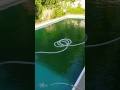 Pool Opening - Vacuuming Algae to Waste with Super Pump