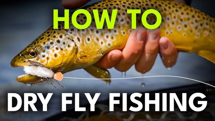 Fly-Fishing Gear: 10 Essentials for Beginners - Articles