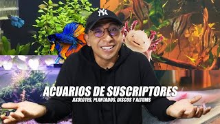 Acuarios de Suscriptores | Ep. 1