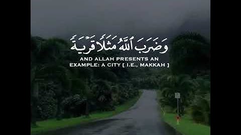 وضرب الله مثلا قرية كانت آمنة مطمئنة يأتيها رزقها رغدا  | القارئ عبدالرحمن مسعد ♥️🎧