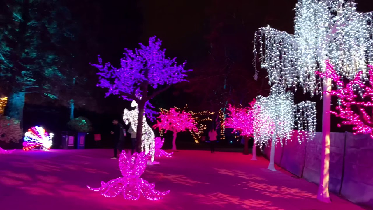 Aurora Winter Festival Vancouver 2019