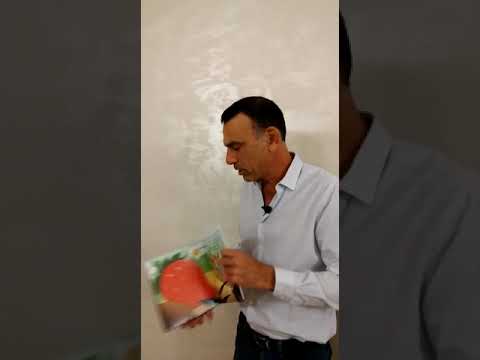 עופר ברקן ממליץ על הספר