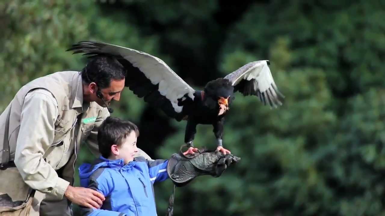 Imagefilm - Weltvogelpark Walsrode