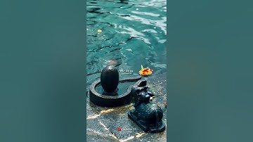 Mahadev status video 💫 bholenath status ☘️ mahakal status#mahadev #shorts