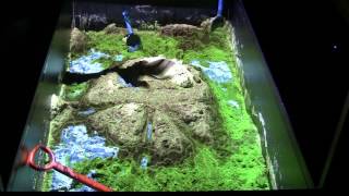 SandyStation - Water and Terrain Simulation
