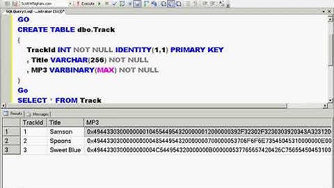 SSIS Part 4 How To Import MP3 Files Into Database Part -193