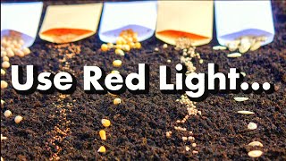 Why EVERY Seed Needs Light... by Gardening In Canada 5,102 views 2 months ago 13 minutes, 56 seconds