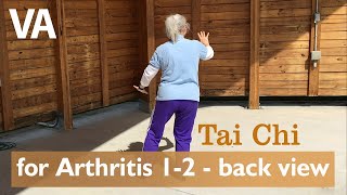 Tai Chi for Arthritis 1 & 2  Back View (8 of 12)