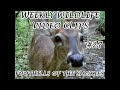 #27 Weekly wildlife video from trail cameras in the foothills of the Great Smoky Mountains.